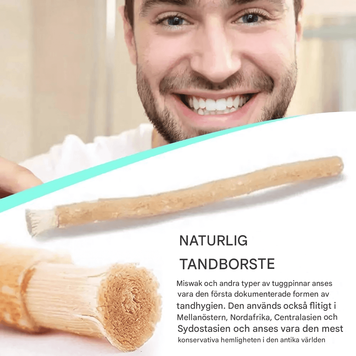 HerbaBrush – Naturlig Miswak-tandbørste til traditionel mundpleje og rejser