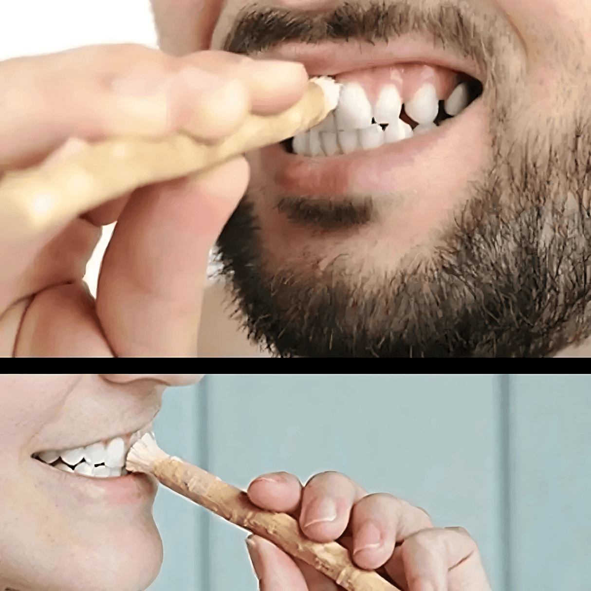 HerbaBrush – Naturlig Miswak-tandbørste til traditionel mundpleje og rejser