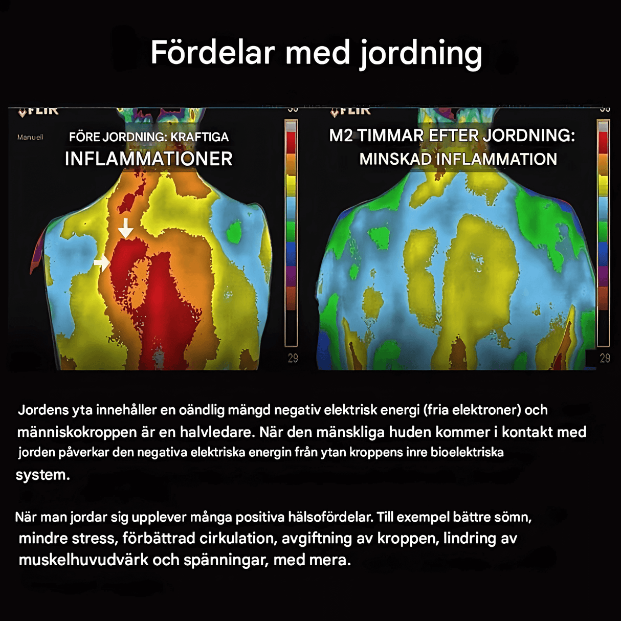 CLINT – Jordbundsmåtte til bedre søvn, reduceret stress og indre balance