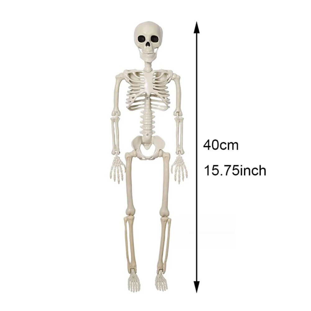 Halloween Decoration: Human Skeleton 40 cm - Realistic Skeleton for Scary Decor