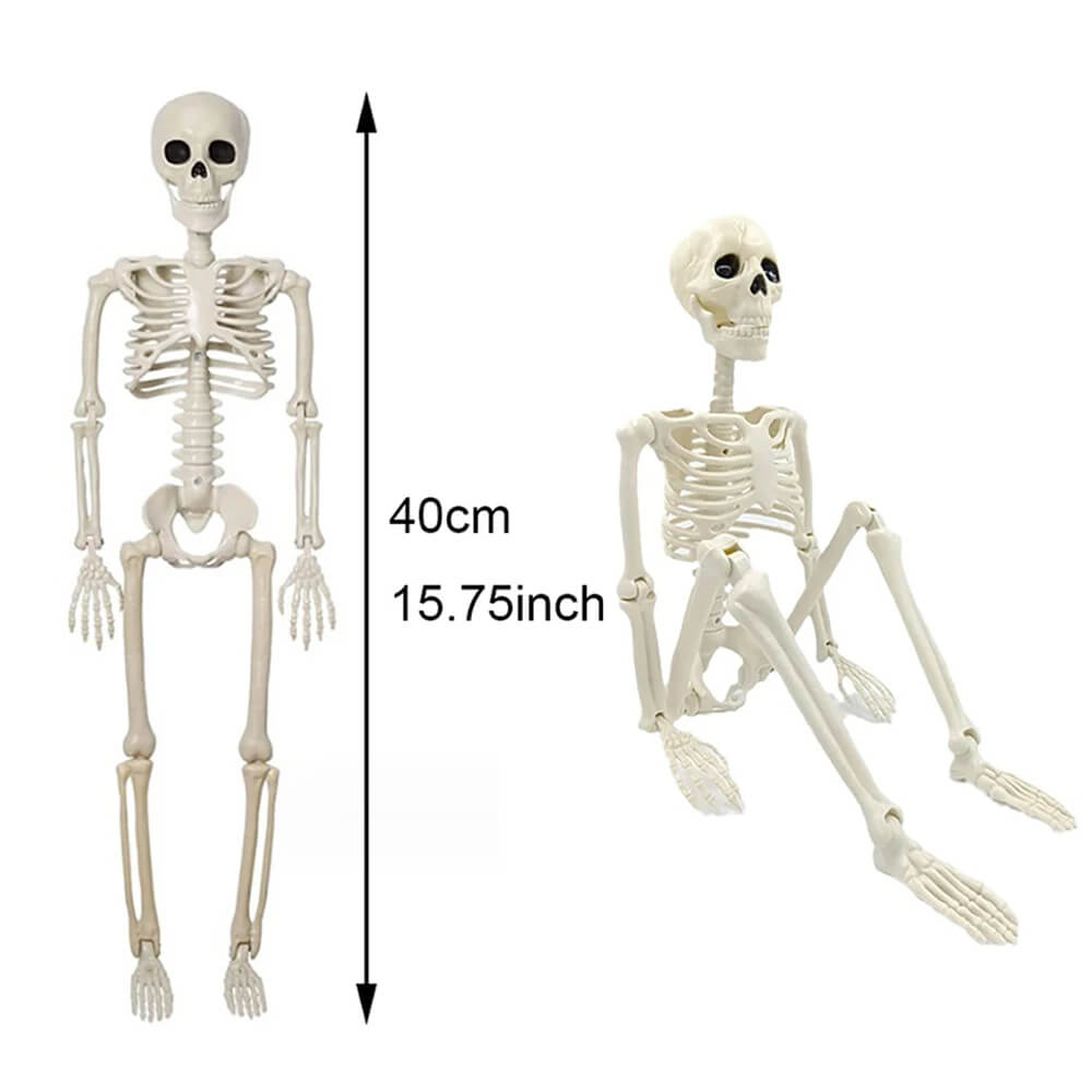 Halloween Decoration: Human Skeleton 40 cm - Realistic Skeleton for Scary Decor