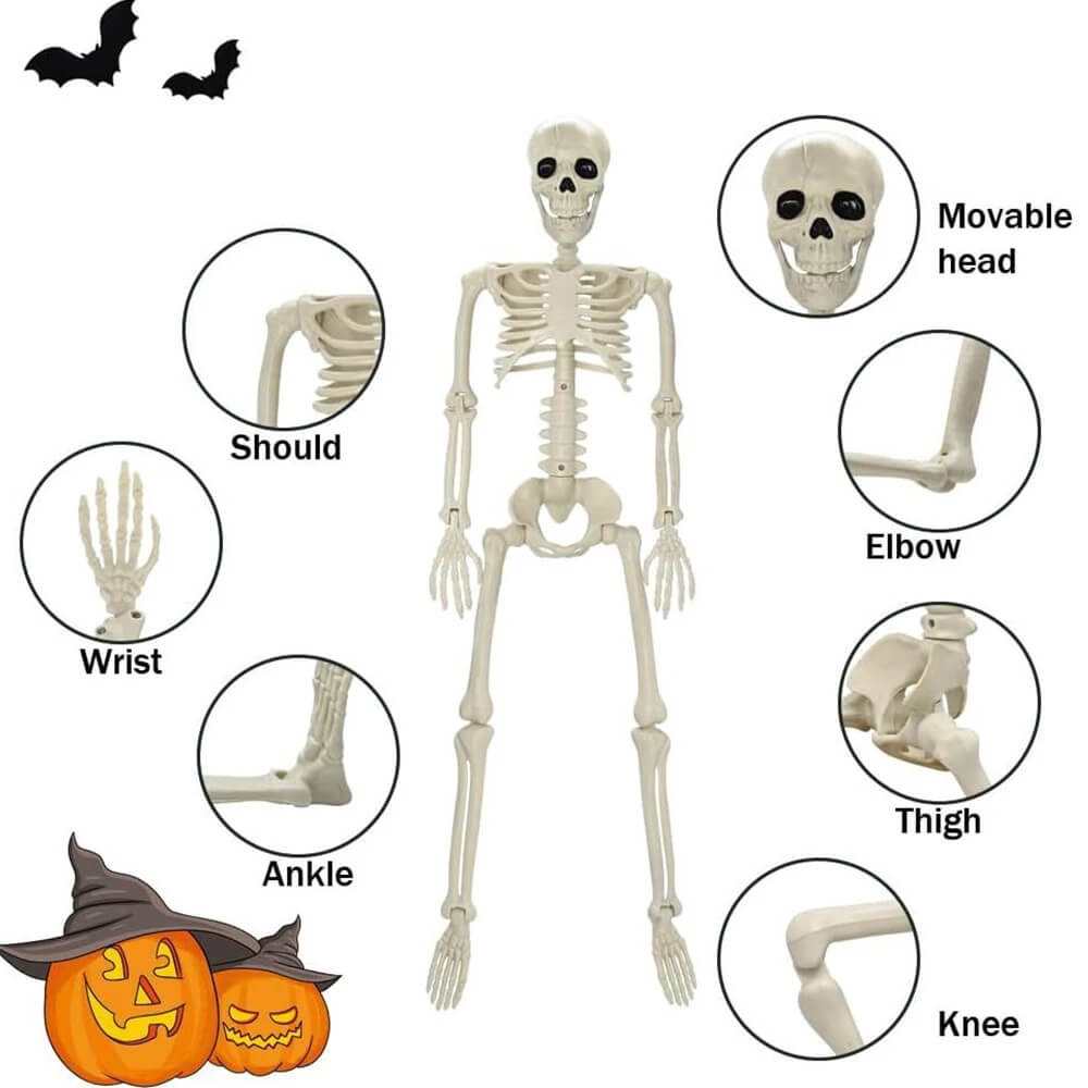 Halloween Decoration: Human Skeleton 40 cm - Realistic Skeleton for Scary Decor