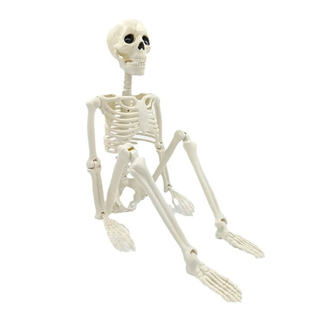 Halloween Decoration: Human Skeleton 40 cm - Realistic Skeleton for Scary Decor