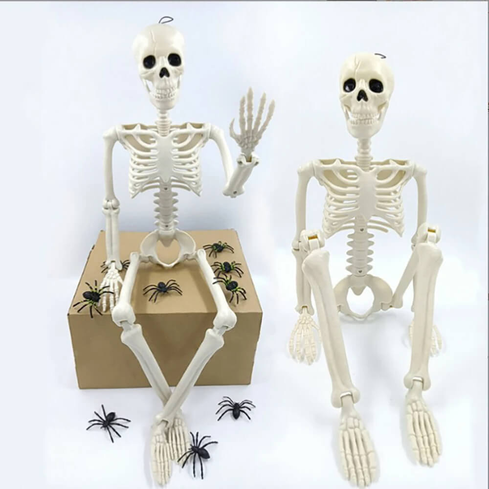 Halloween Decoration: Human Skeleton 40 cm - Realistic Skeleton for Scary Decor