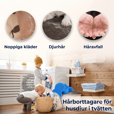 FurCatch – Éponge réutilisable pour poils d'animaux